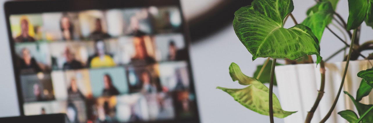 Online-meeting-vergadering-webinar-LINK(2)